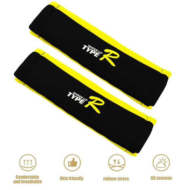 41123-5-prostat-zwnwn-type-r-mayro-kitrino-autogs_650