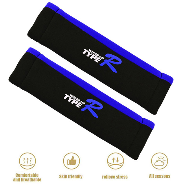 41124-5-prostat-zwnwn-type-r-mayro-mple-autogs_650