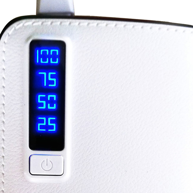 99173-2-power-bank-treqa-901-leuko-autogs_650